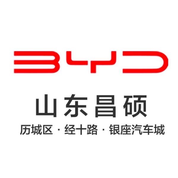 比亚迪王朝昕昕崽头像