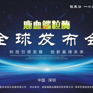 鹿美淳联合创始人头像