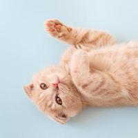 完美阳光9hu头像