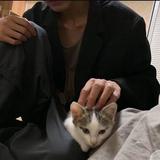 隔壁小肥牛头像