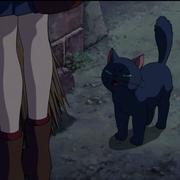 小满同学的个人资料头像