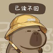 偷一个月亮的个人资料头像