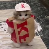 用户9757131893487头像