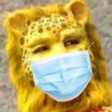 用户1219195647637头像