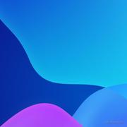 大毛科技的个人资料头像