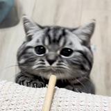 用户7909774613144头像