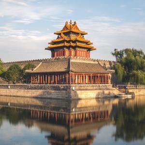 友爱山雀tqofrH头像