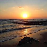 陈伟霆865的个人资料头像