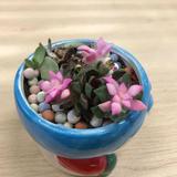 阳光早安头像