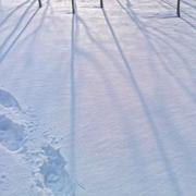 底层农民工的个人资料头像