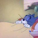 git33的个人资料头像