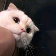 why599的个人资料头像