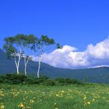 丽声云空间头像