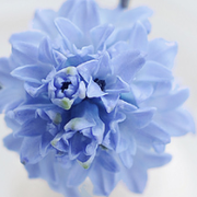 cathe的个人资料头像