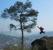 苹果API搬运工的个人资料头像
