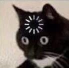 最喜欢的是张张头像