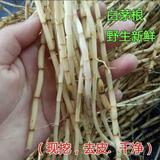 男人那点事x头像