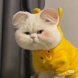 ρꪖડડ᥇ꪗ317头像