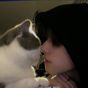 清闲的松鼠J3n头像