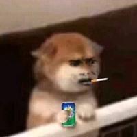 yang不起了头像