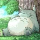 进击的龙猫的个人资料头像