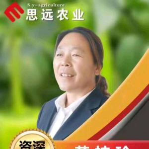 思远农业黄瓜标准化头像