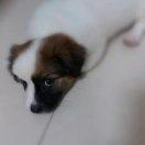 漫步云端ZLM的个人资料头像