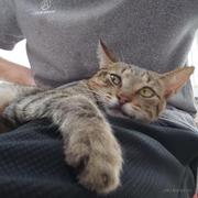 猫猫玩编程的个人资料头像