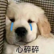 知污朱的个人资料头像