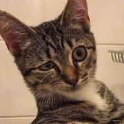 ggg的个人资料头像