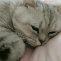 怎么是阿布头像