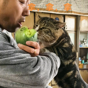 农村睿哥头像