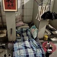 如履薄冰424头像
