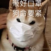 用户3549830823602的个人资料头像