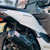 东尼大叔leto头像