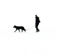 ㅤㅤㅤㅤ65320头像