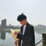 一窝宝石头像
