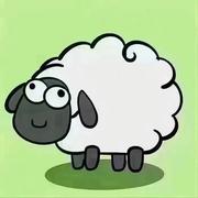 肖鸣宇的个人资料头像