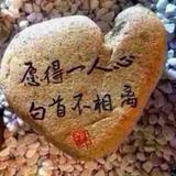 心的归属907头像