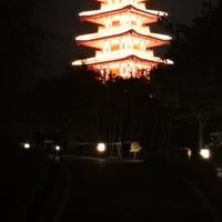 1老友记头像