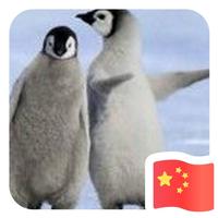 高山流水源远流长127头像