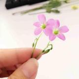 淑7788250头像