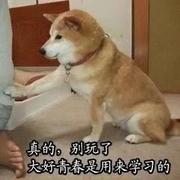 __菜菜__的个人资料头像