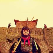 sl153的个人资料头像