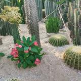 用户6606335668145头像