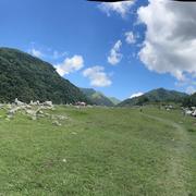 行者常至为者常成的个人资料头像