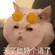 给我来条秋裤的个人资料头像