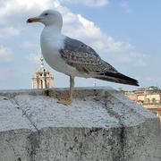 Andryu的个人资料头像