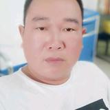 野马之恋头像
