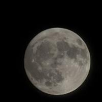北斗七星a瑶光头像